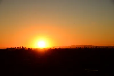 DSC_1468 (Large).JPG